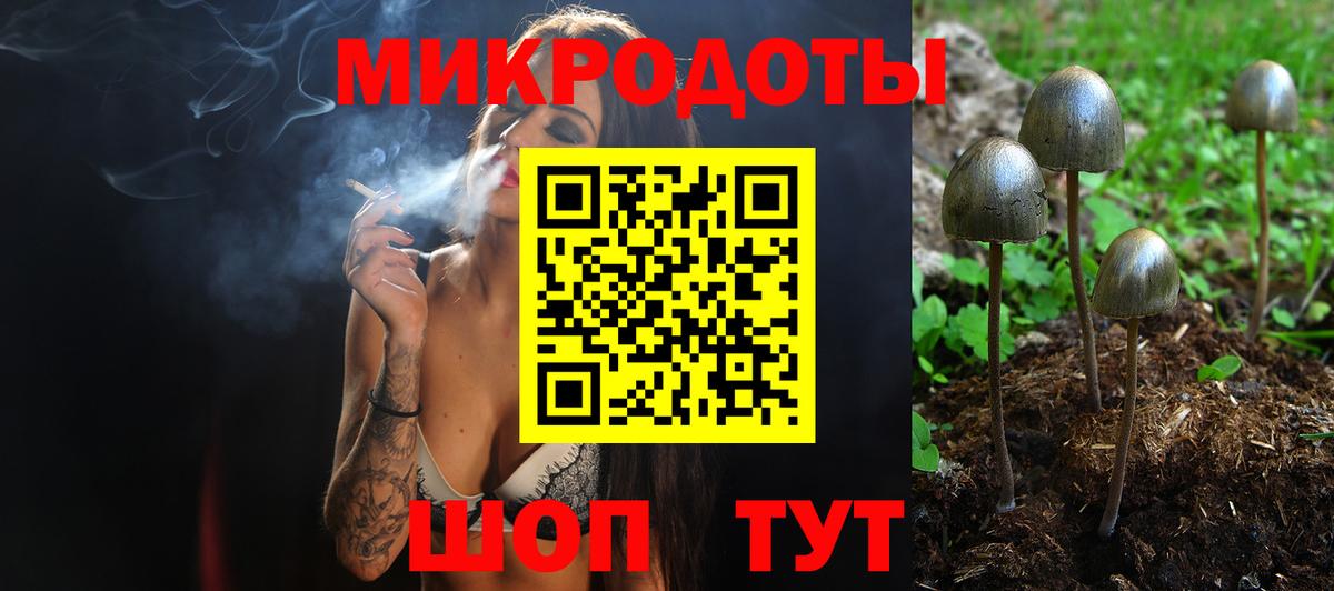 Псилоцибиновые грибы GOLDEN TEACHER  Псилоцибиновые грибы MAGIC MUSHROOMS  Вход с VPN  Балтийск 