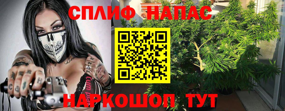 МАРИХУАНА тримм Балтийск